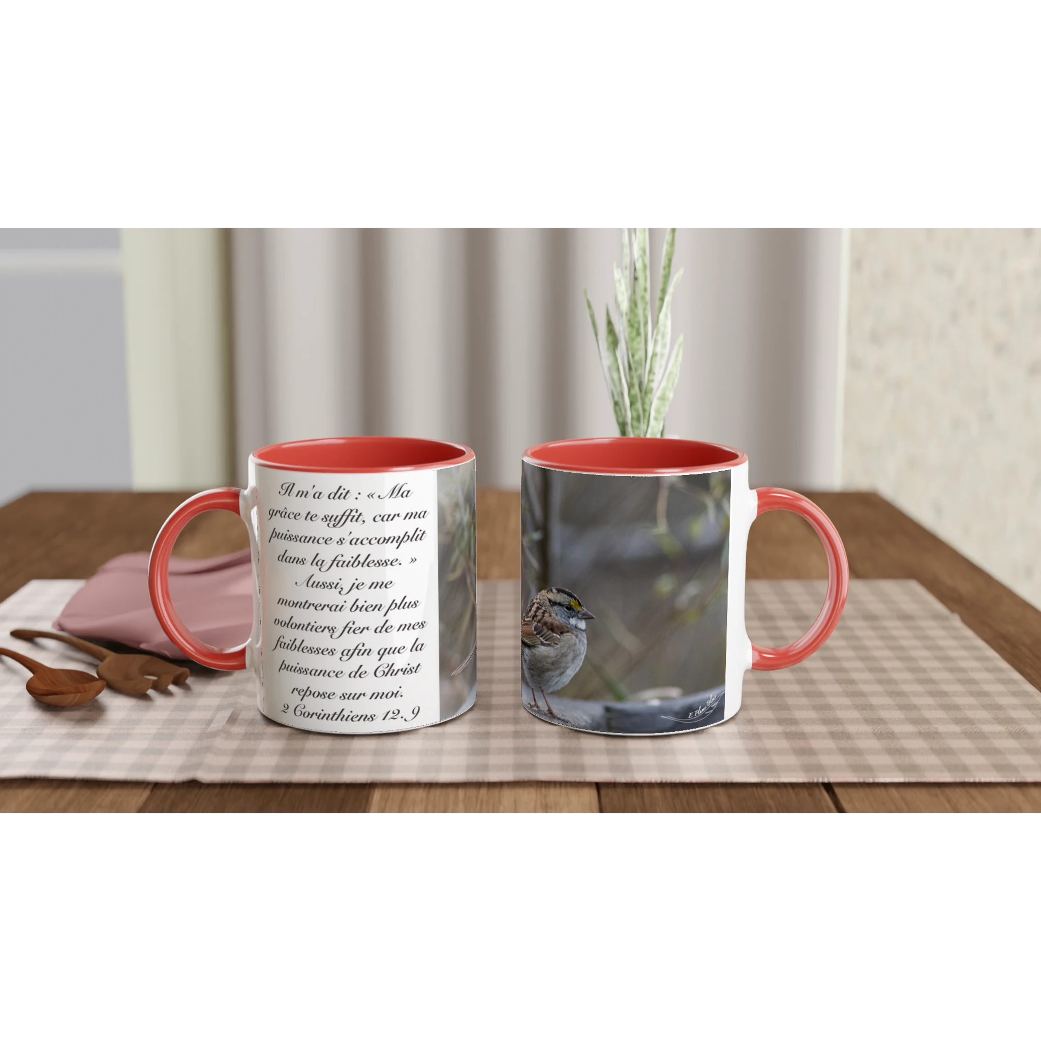 085a23bb-bcde-428a-ad73-a2c56d4e39f6