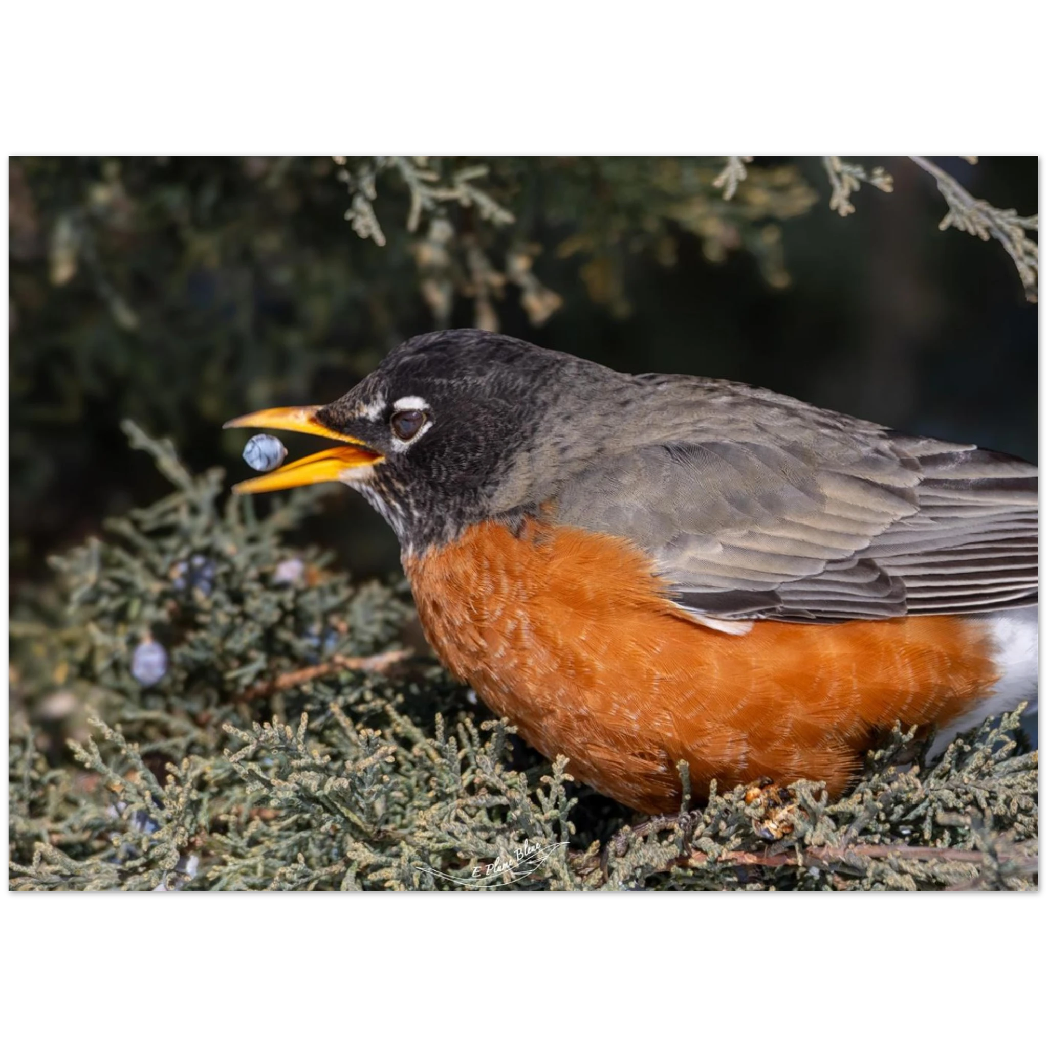 10947c23-2f17-4afa-8cbc-a3c646f044a3