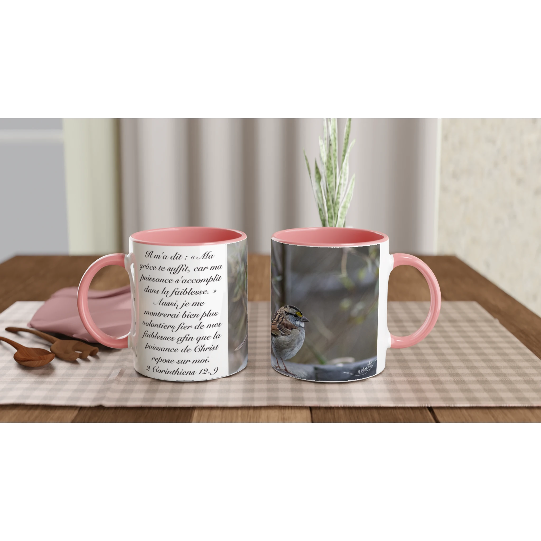 11f53e87-15f6-4612-8ce6-db3cb20309cf