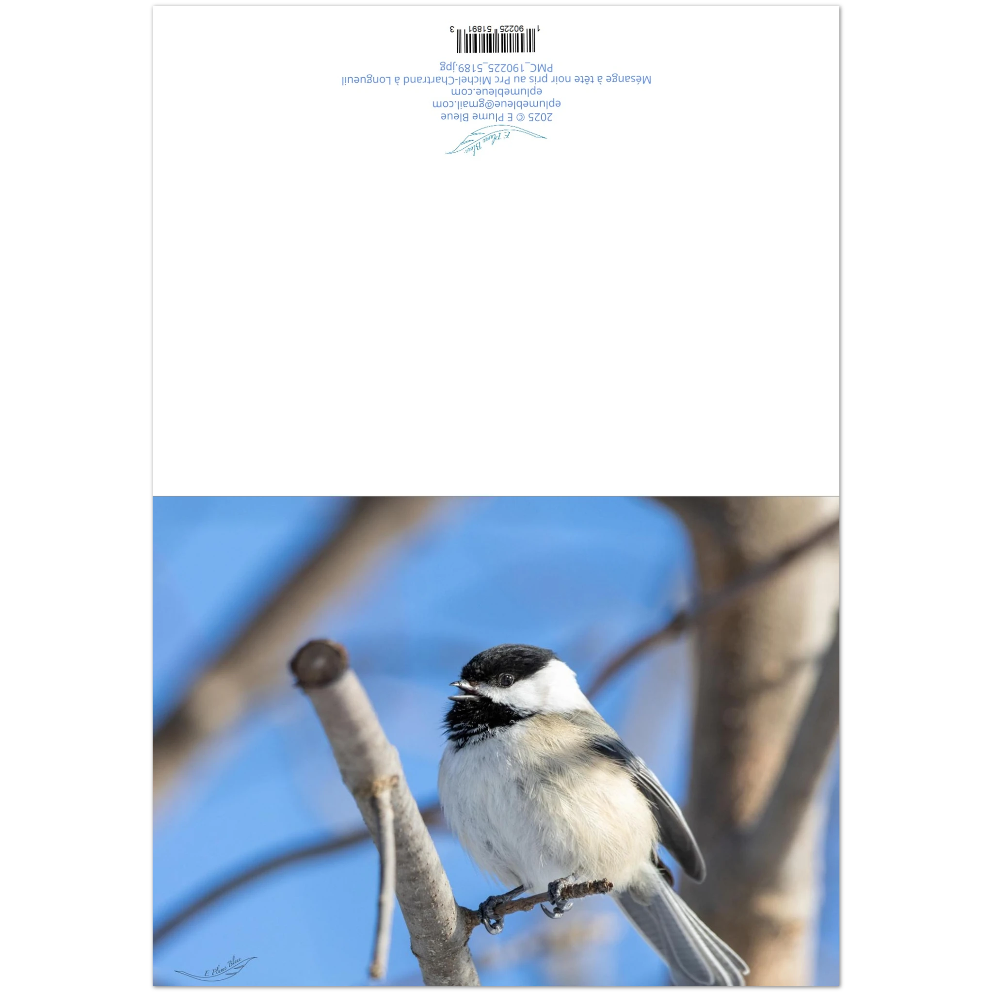 179414b3-9dfc-45a0-8f72-08906f2dbfc3