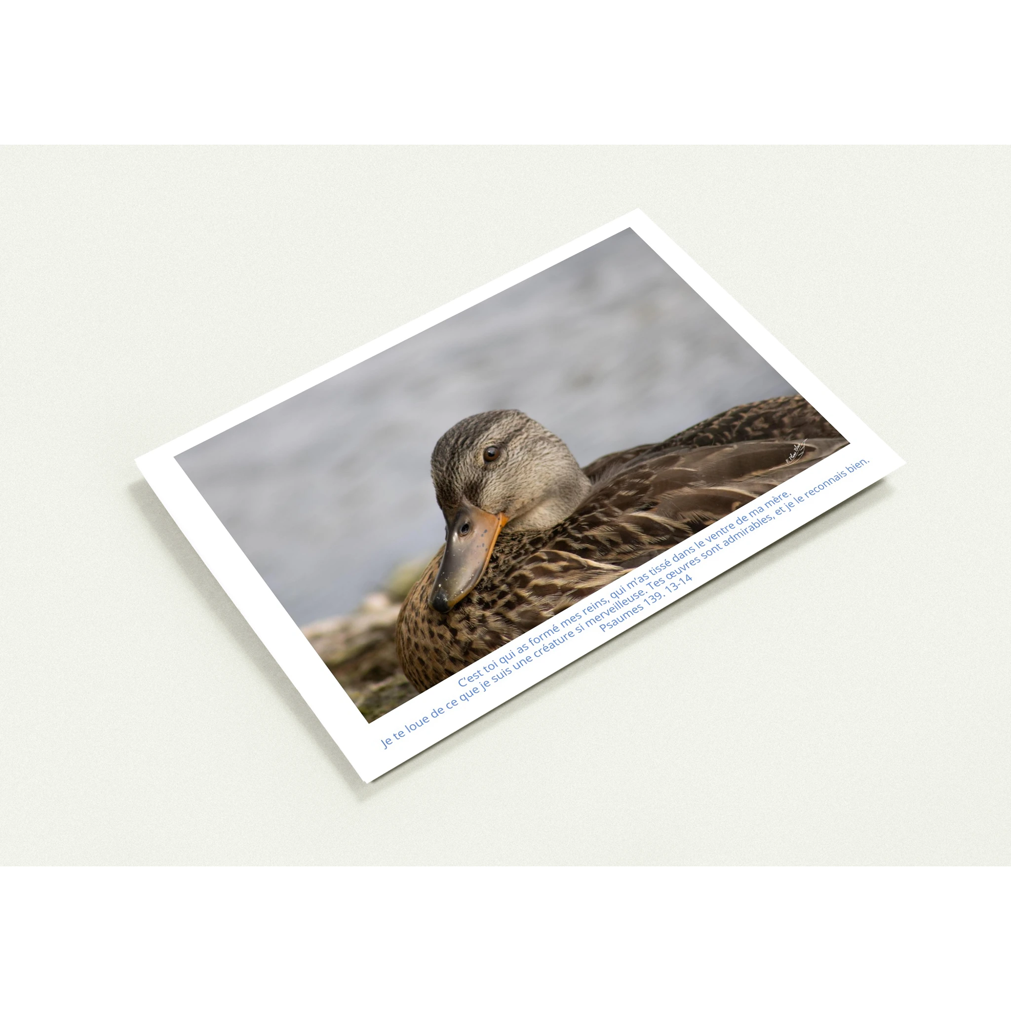 18236b3b-7866-4ce8-a388-e00eb0b5dfda