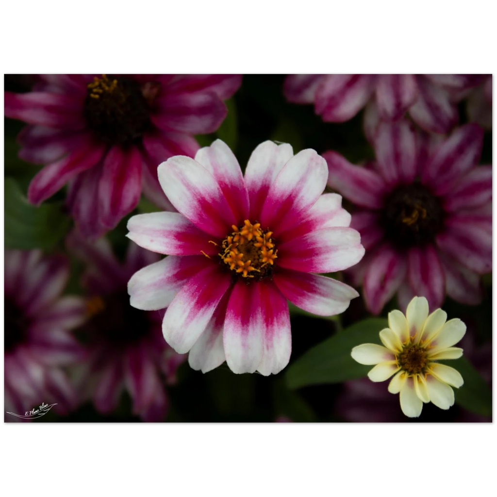 441c683a-16be-48d5-9c76-7ce88db30ddd