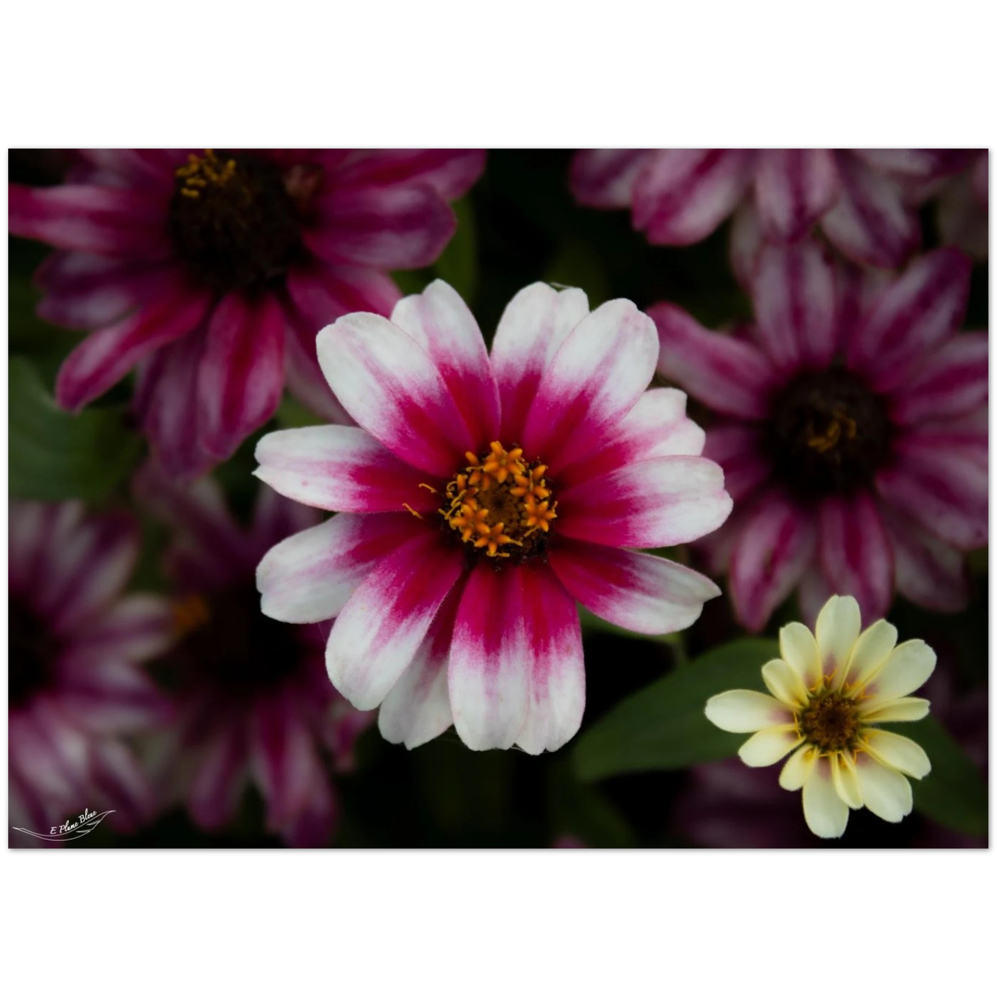 441c683a-16be-48d5-9c76-7ce88db30ddd