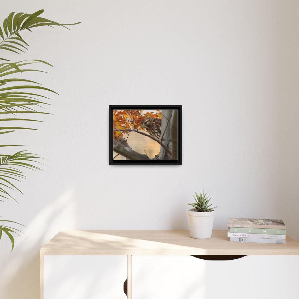 Framed Matte Canvas: Autumn Hawk Wildlife Wall Art