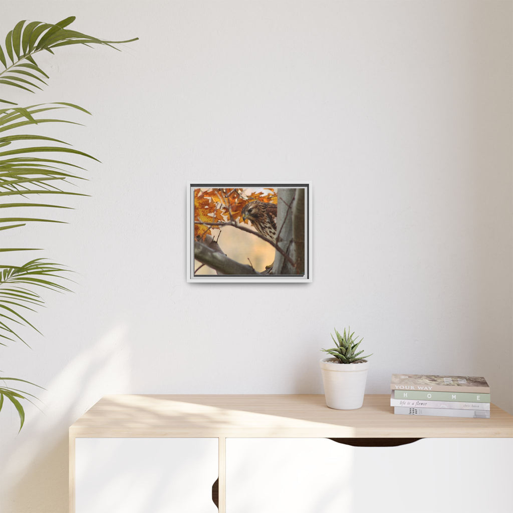 Framed Matte Canvas: Autumn Hawk Wildlife Wall Art
