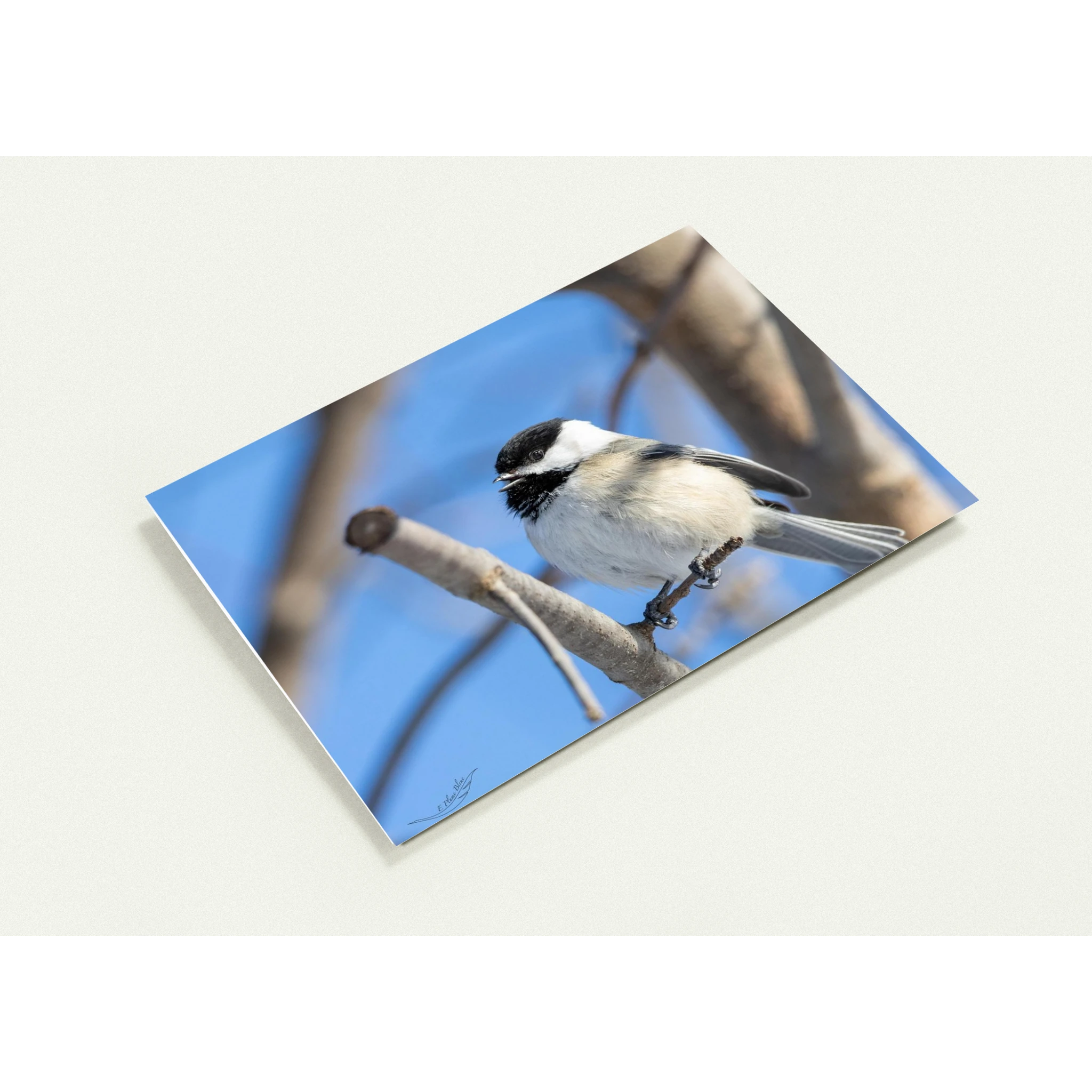 4ca3e6b3-701d-4a67-b7cd-ec4a39b304cd