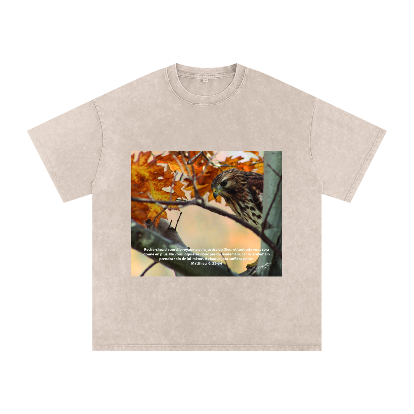 Buse Timide | Matthieu 6. 33-34 | Snow Washed Oversized Cotton T-Shirt