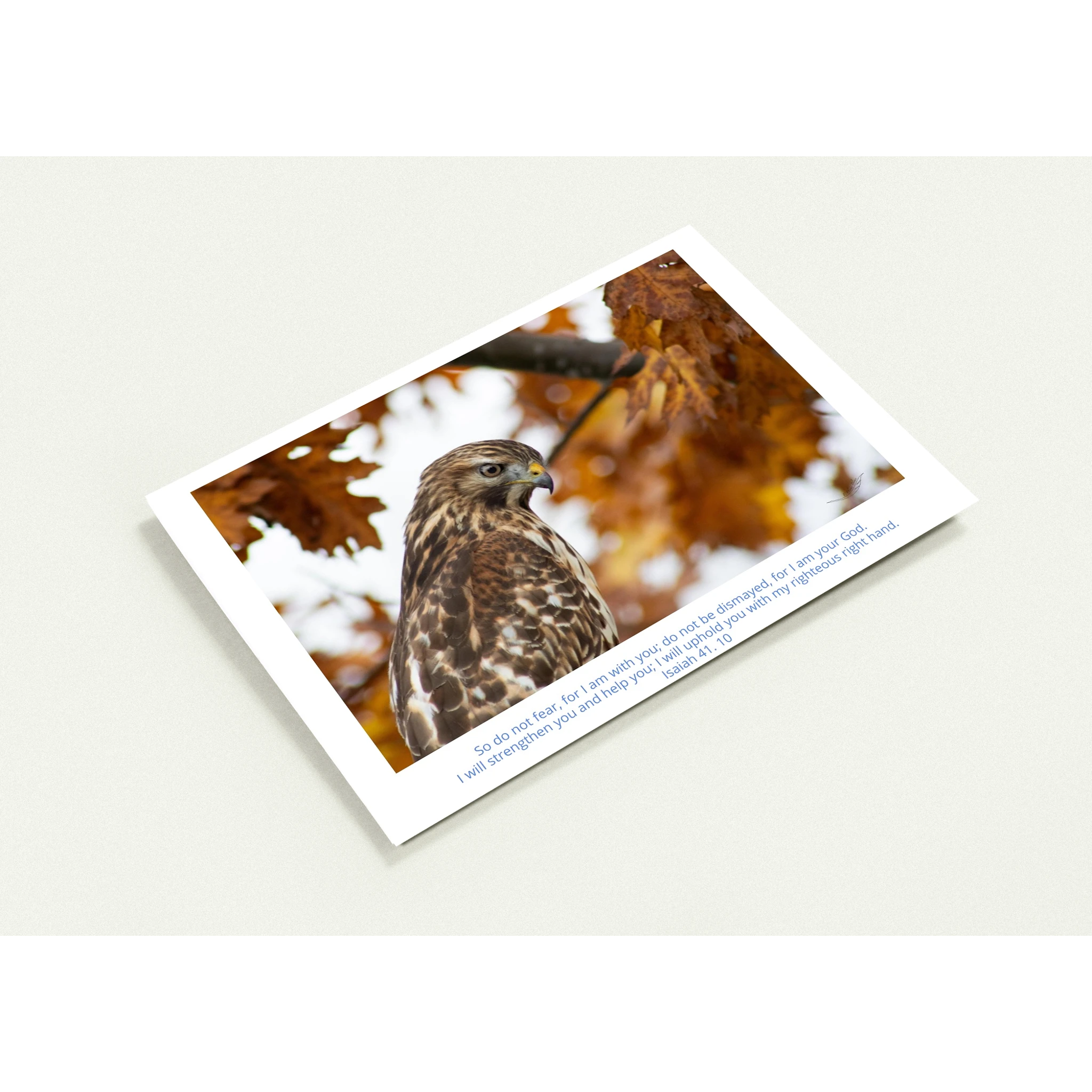 598b6962-d4ab-4a6f-95a0-709fd5087f3b