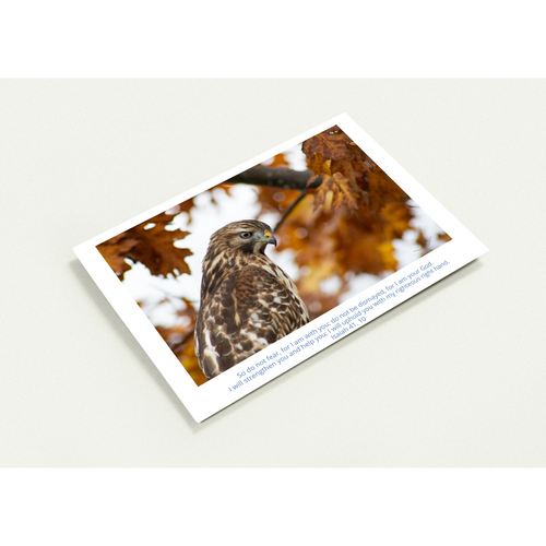 598b6962-d4ab-4a6f-95a0-709fd5087f3b