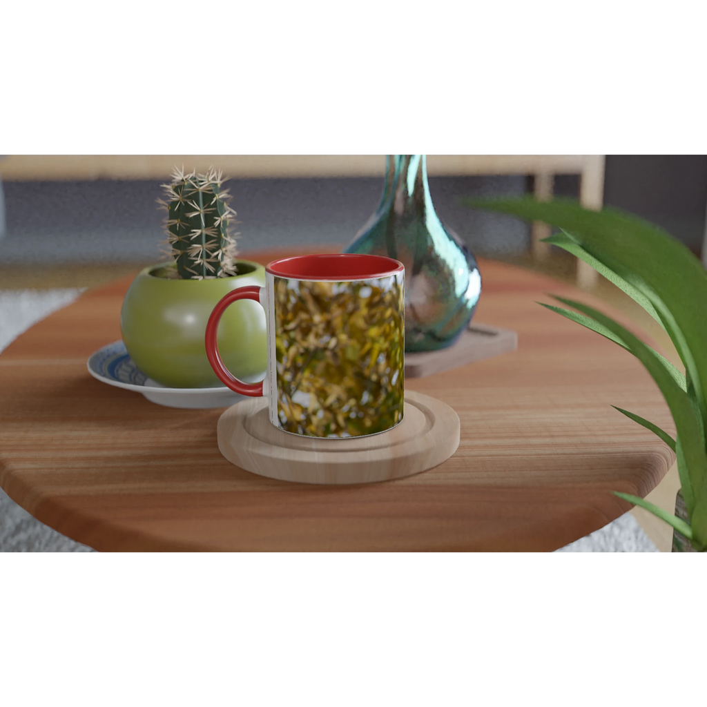 5a09090e-4bbc-40e5-ad61-9232c0bb2b16