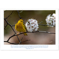 5ff180d7-49a2-4307-ad3f-f428cf45bdba