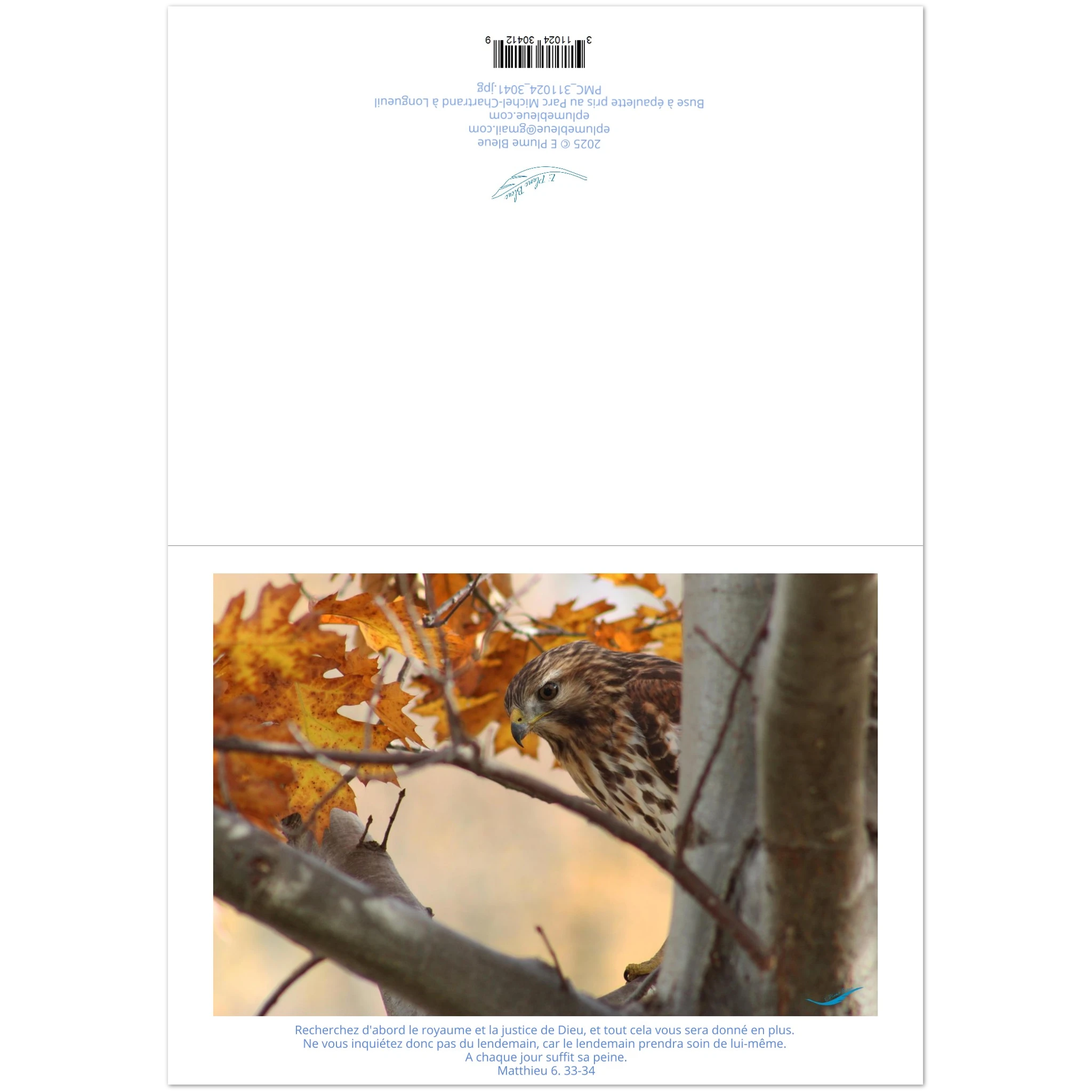 8107f03f-a78a-42e8-9f39-5027d118bf51