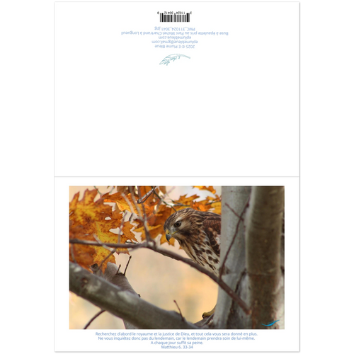 8107f03f-a78a-42e8-9f39-5027d118bf51