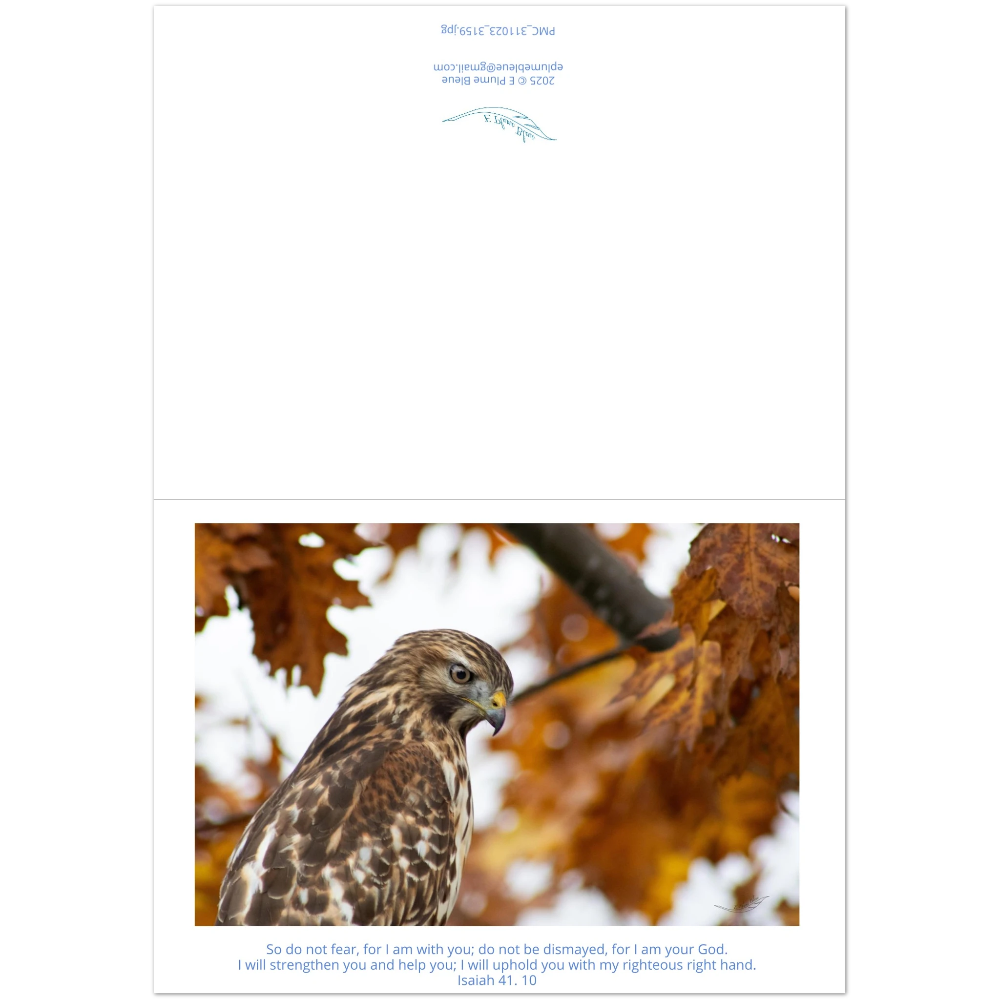 941f8c87-3ae5-482c-a843-c220fa8a1a02