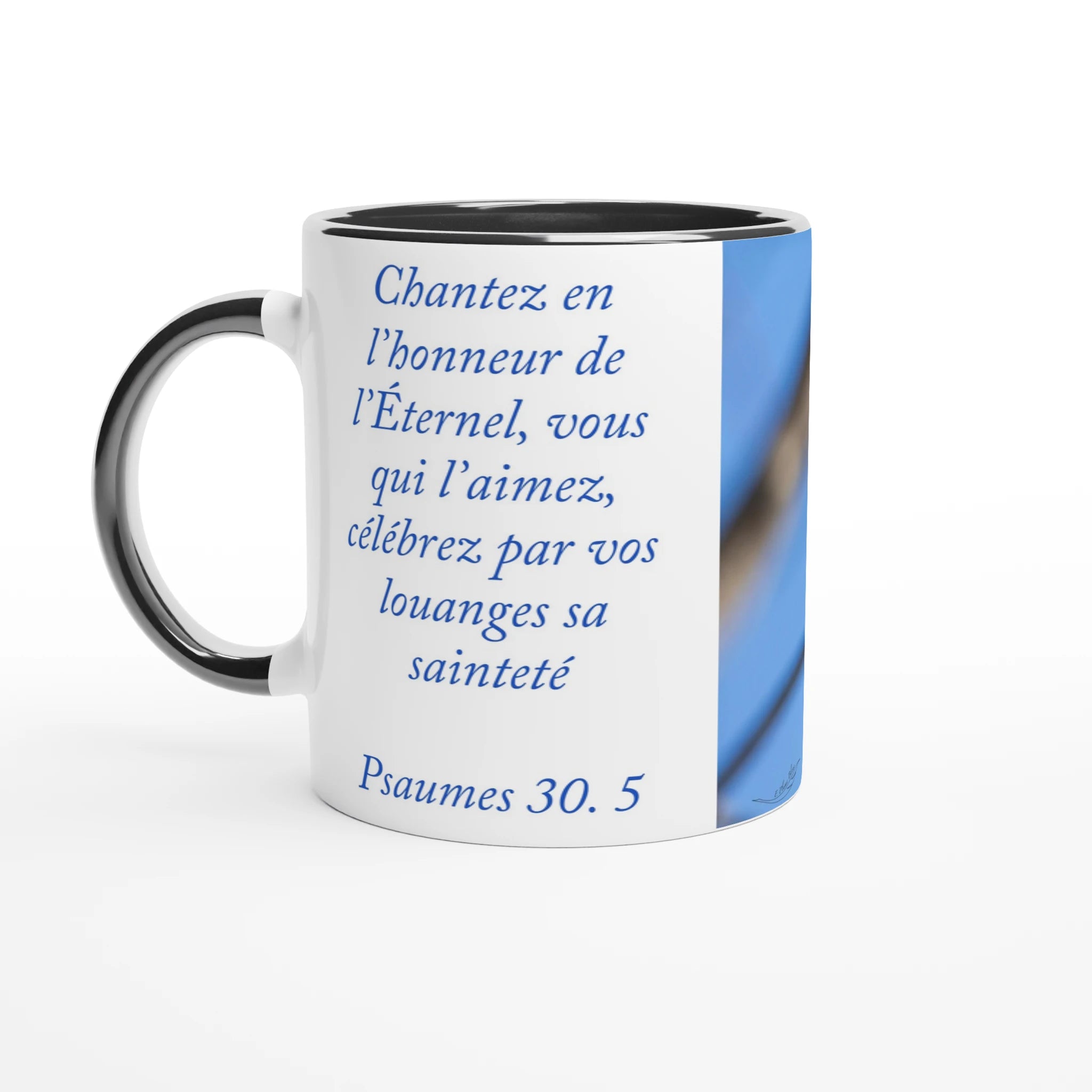 9d9355c2-bfc6-422b-9b61-ffc27af05607