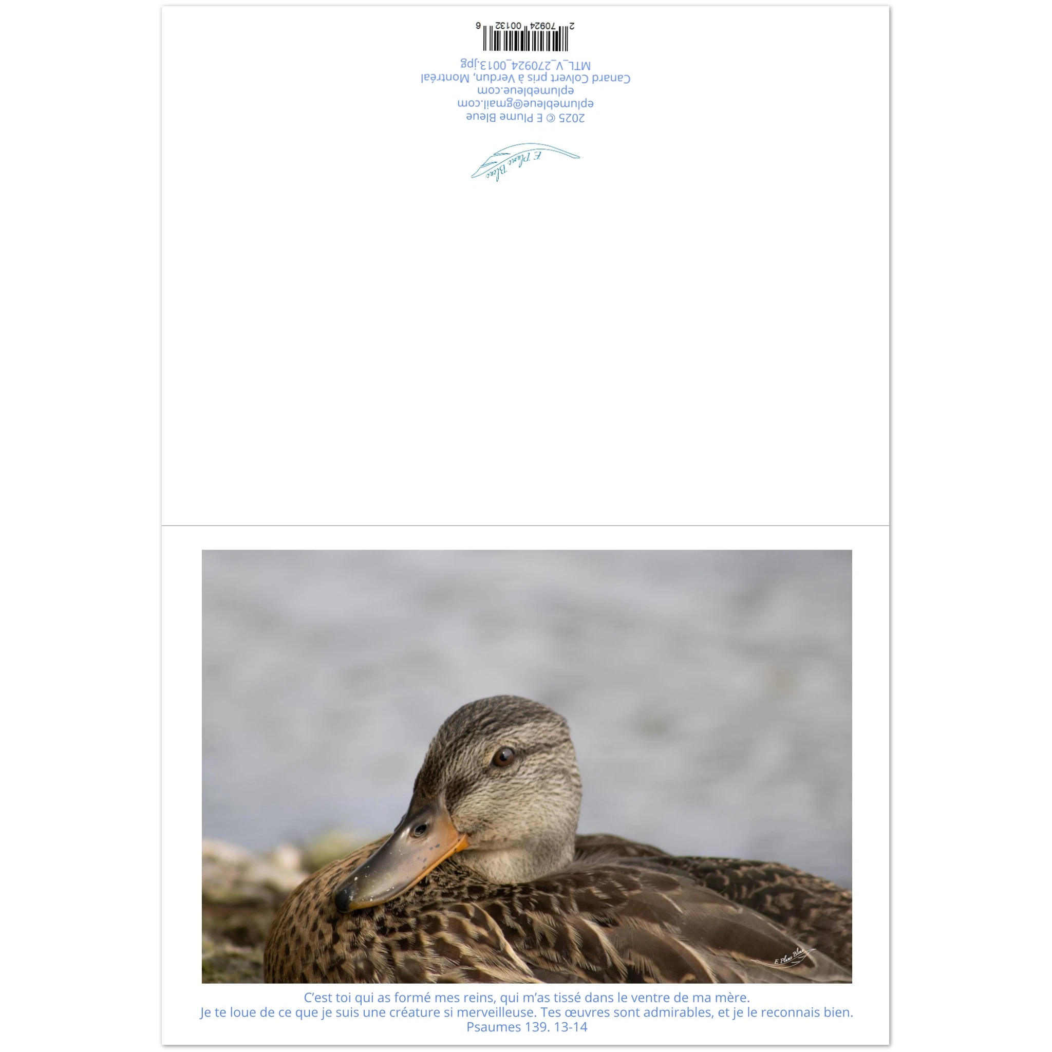 9e43193a-acb7-432f-9ee2-b4c51fb1ffda