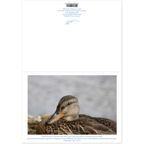 9e43193a-acb7-432f-9ee2-b4c51fb1ffda