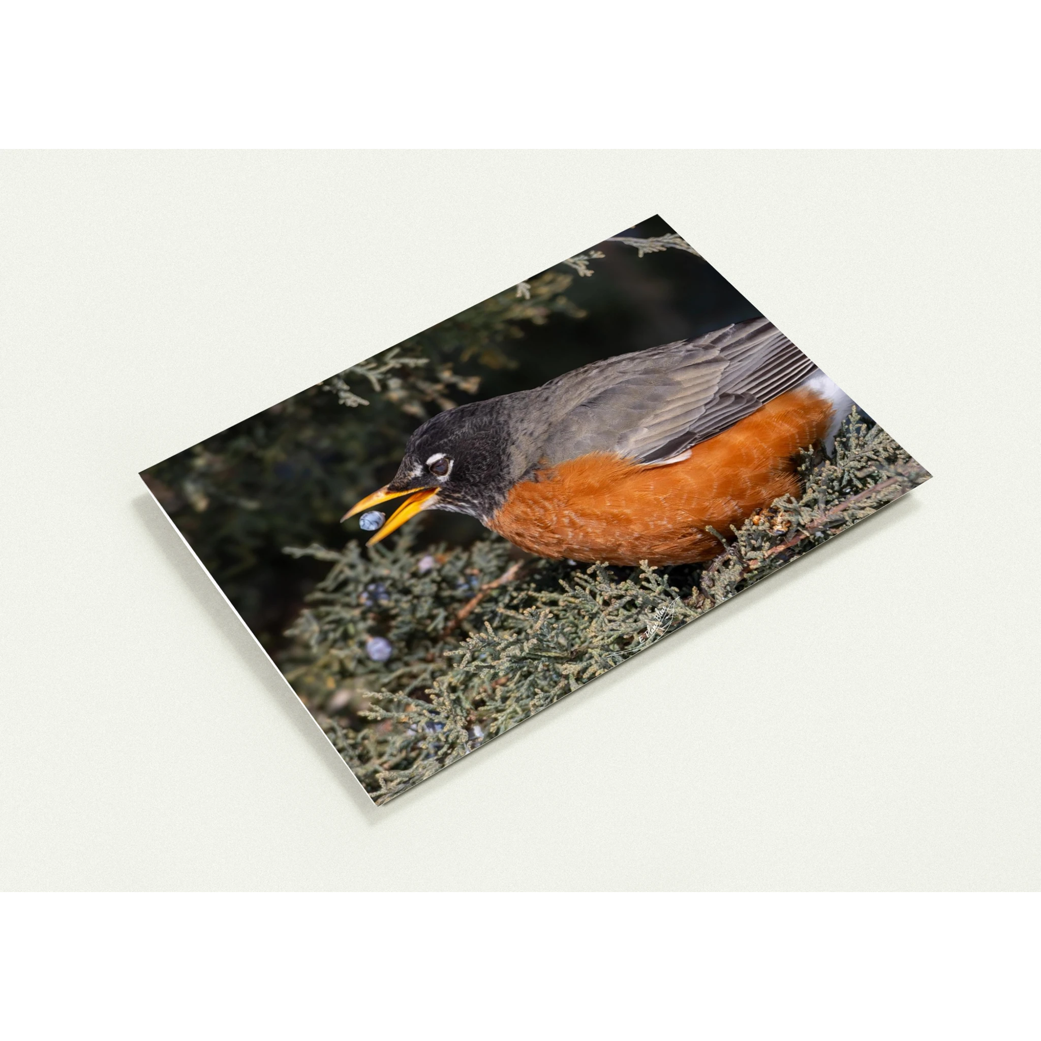 a40cbafa-0aba-4aa6-b08f-fd9f9d2fd6af