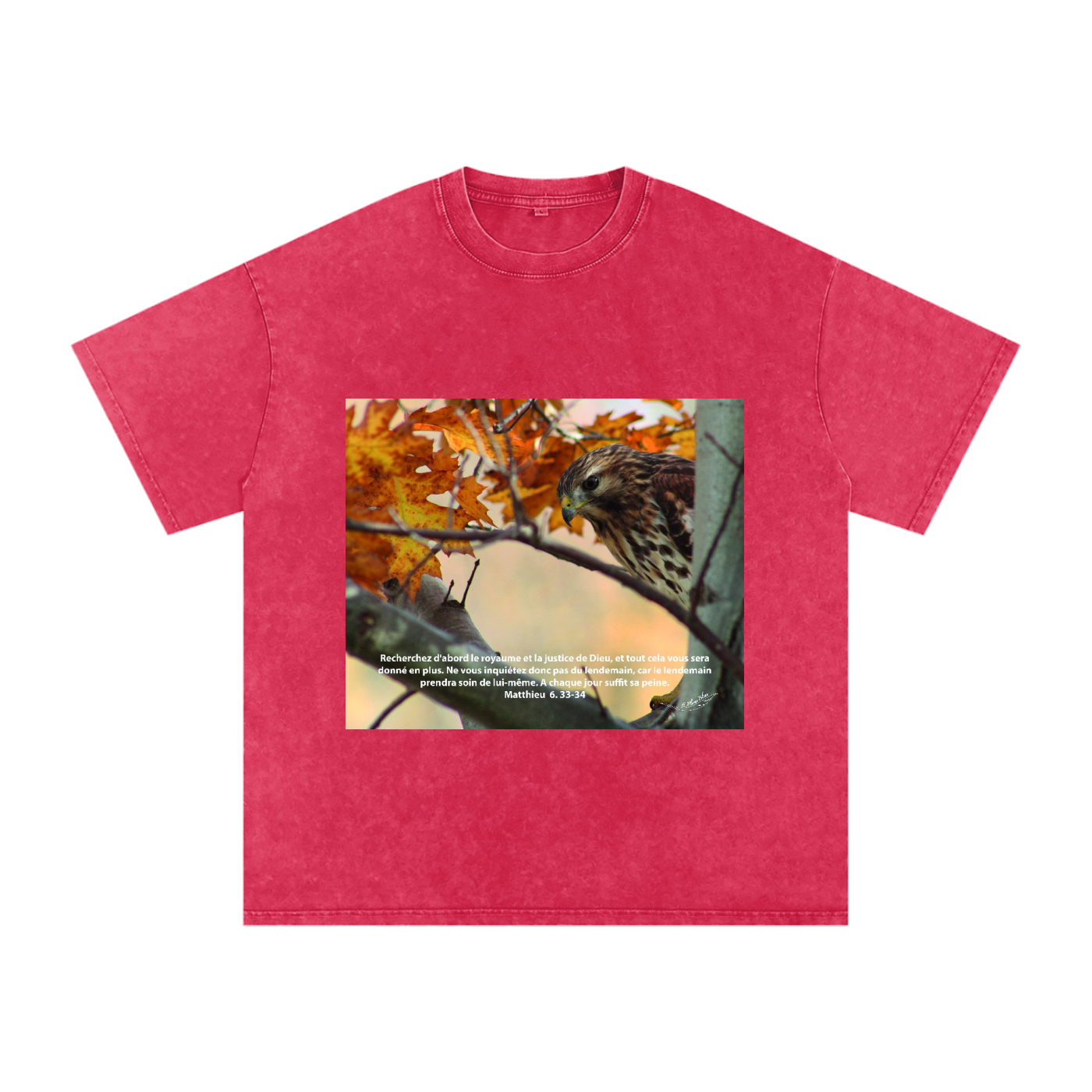 Buse Timide | Matthieu 6. 33-34 | Snow Washed Oversized Cotton T-Shirt