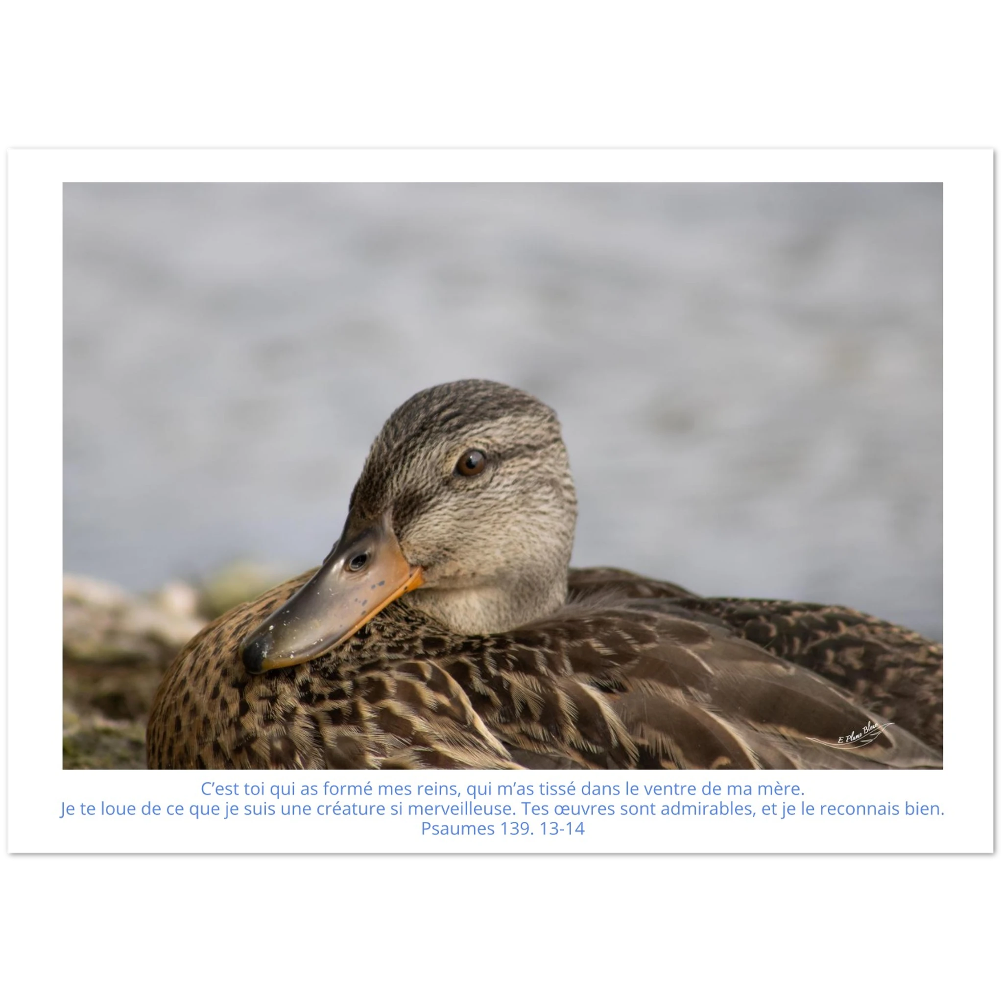 afc5d86b-a5f3-4aea-8117-967ee2e2d700