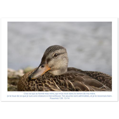 afc5d86b-a5f3-4aea-8117-967ee2e2d700