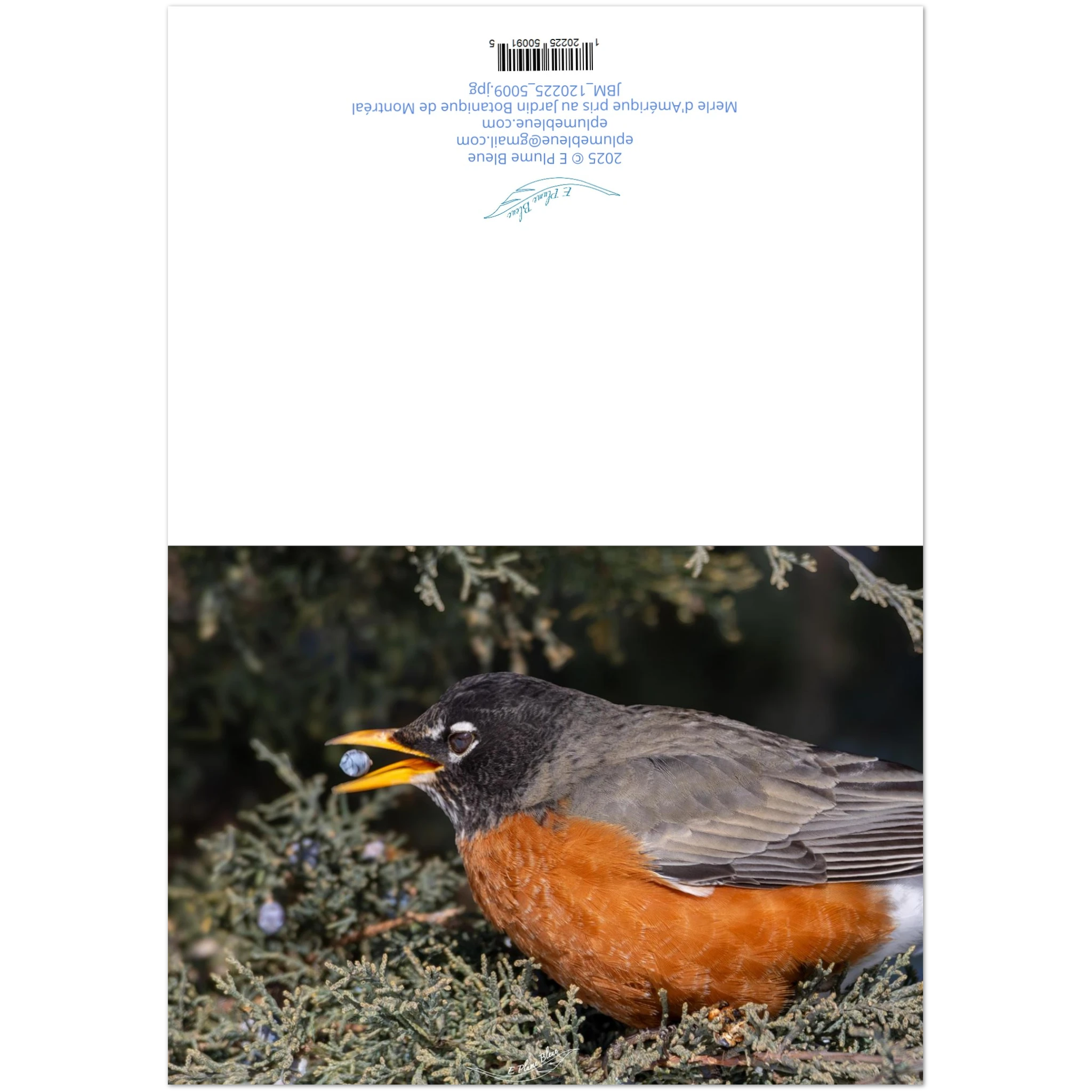 b34d0f40-5297-4b5e-a724-8b84e84459de