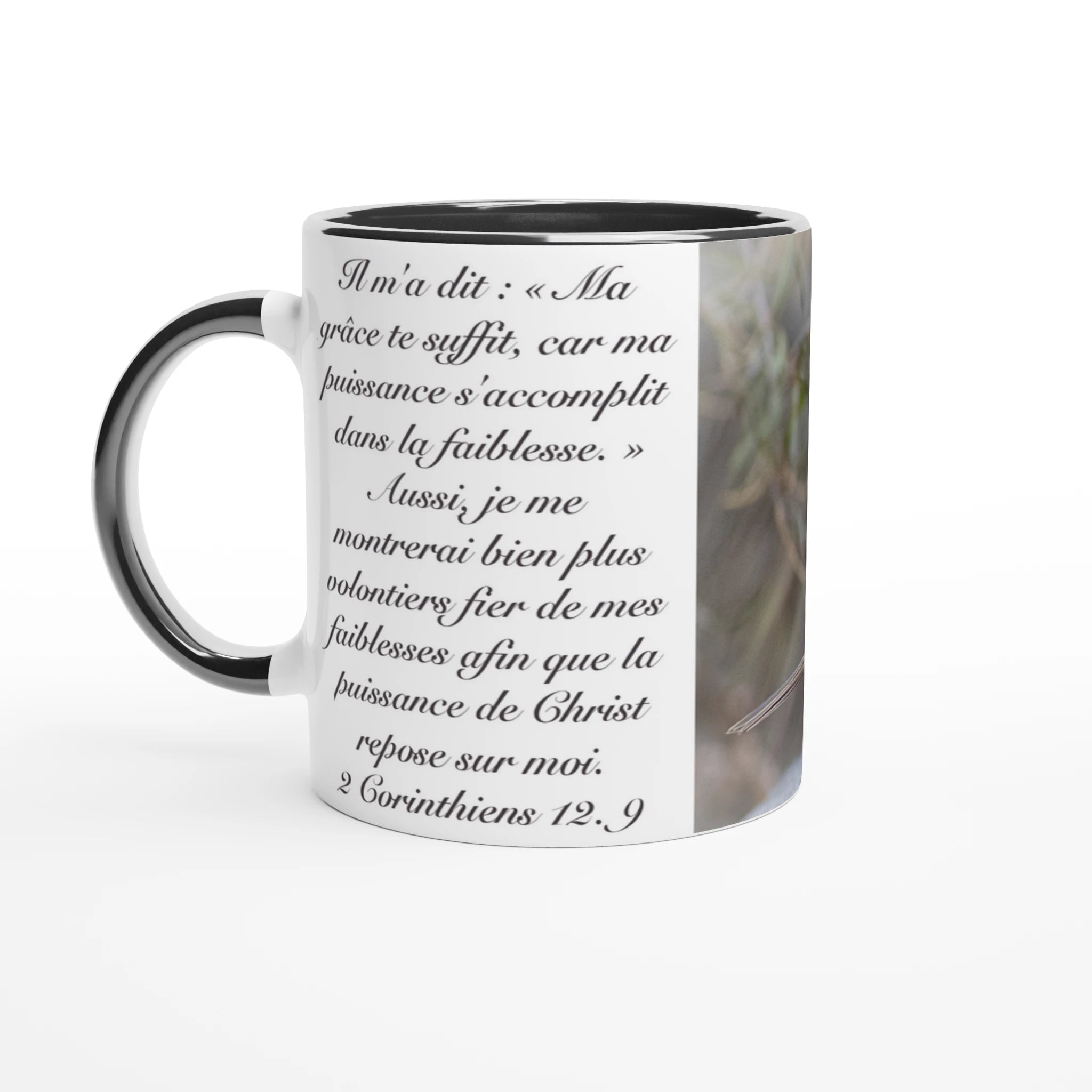 b6834d60-4e61-43ec-980e-af4108cd849a