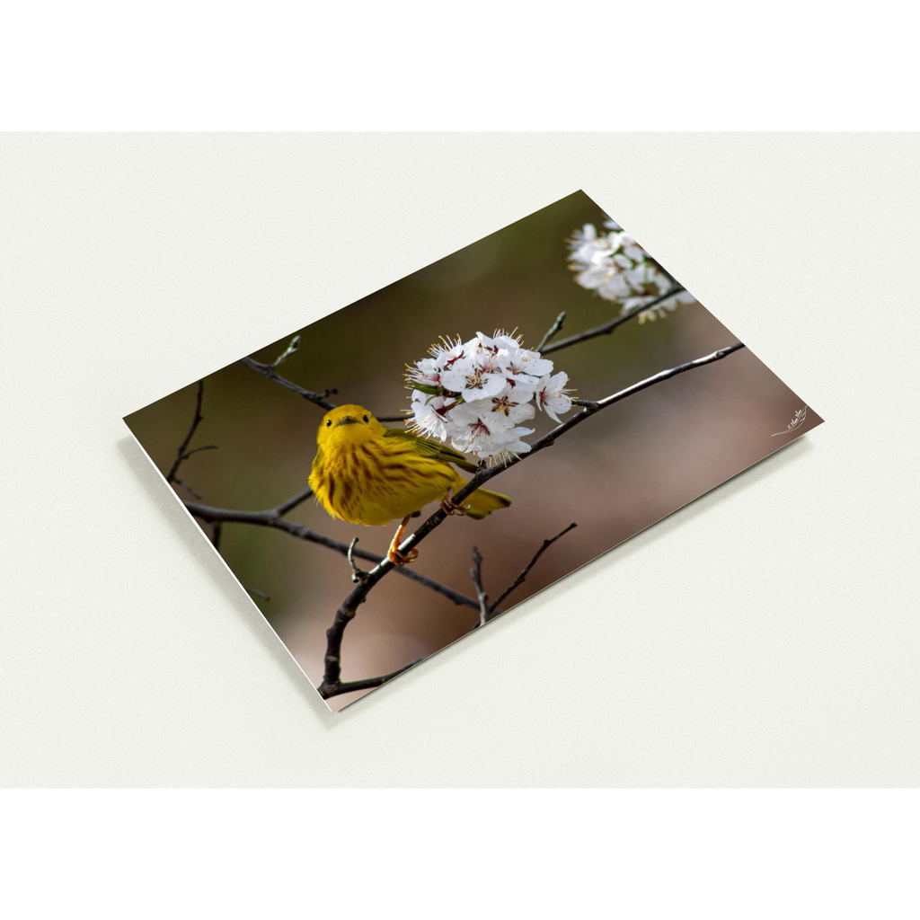 bab7eb12-f464-48fe-8a02-1e79cdfb04fa