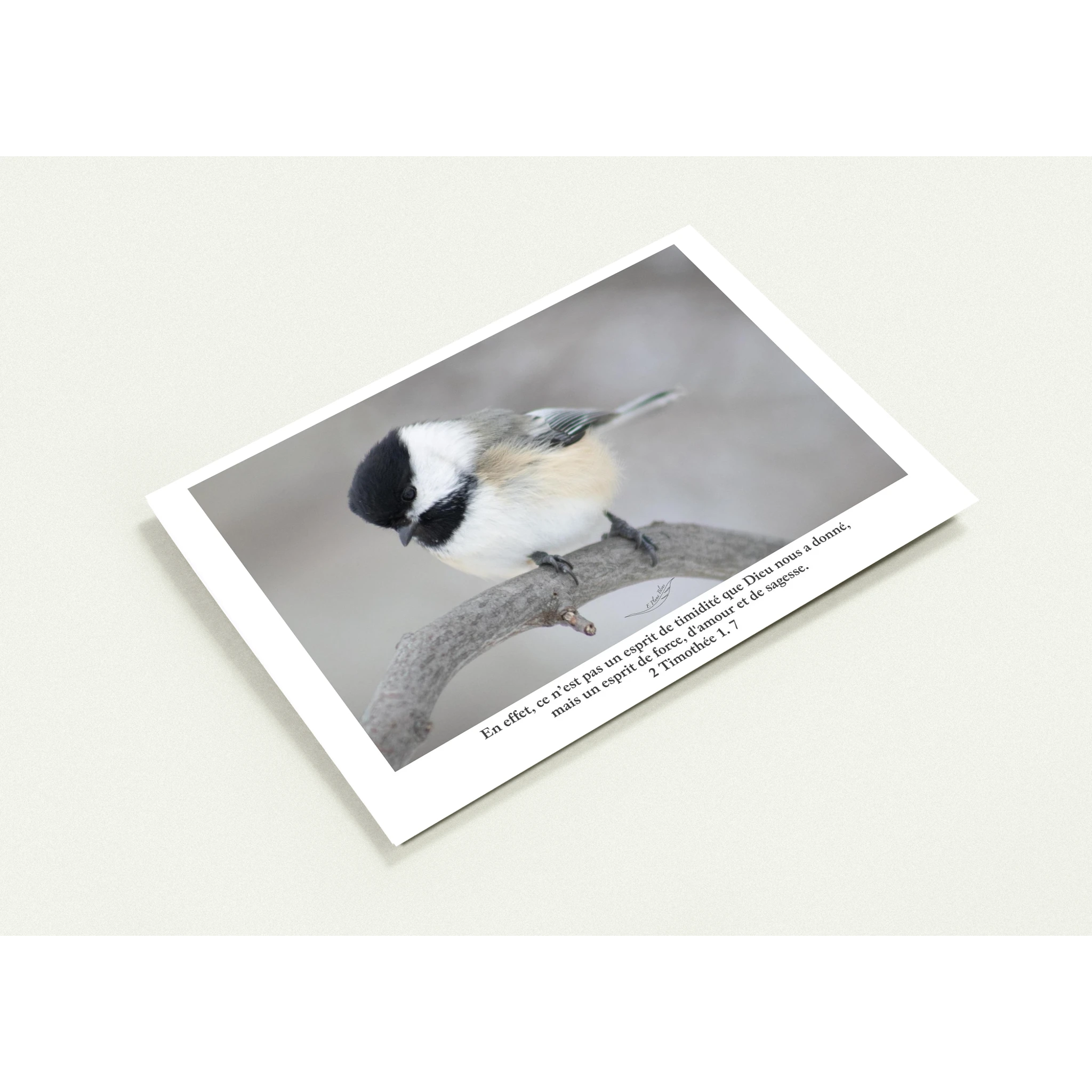 c1f71949-565b-4572-8355-ce5f125cec7a