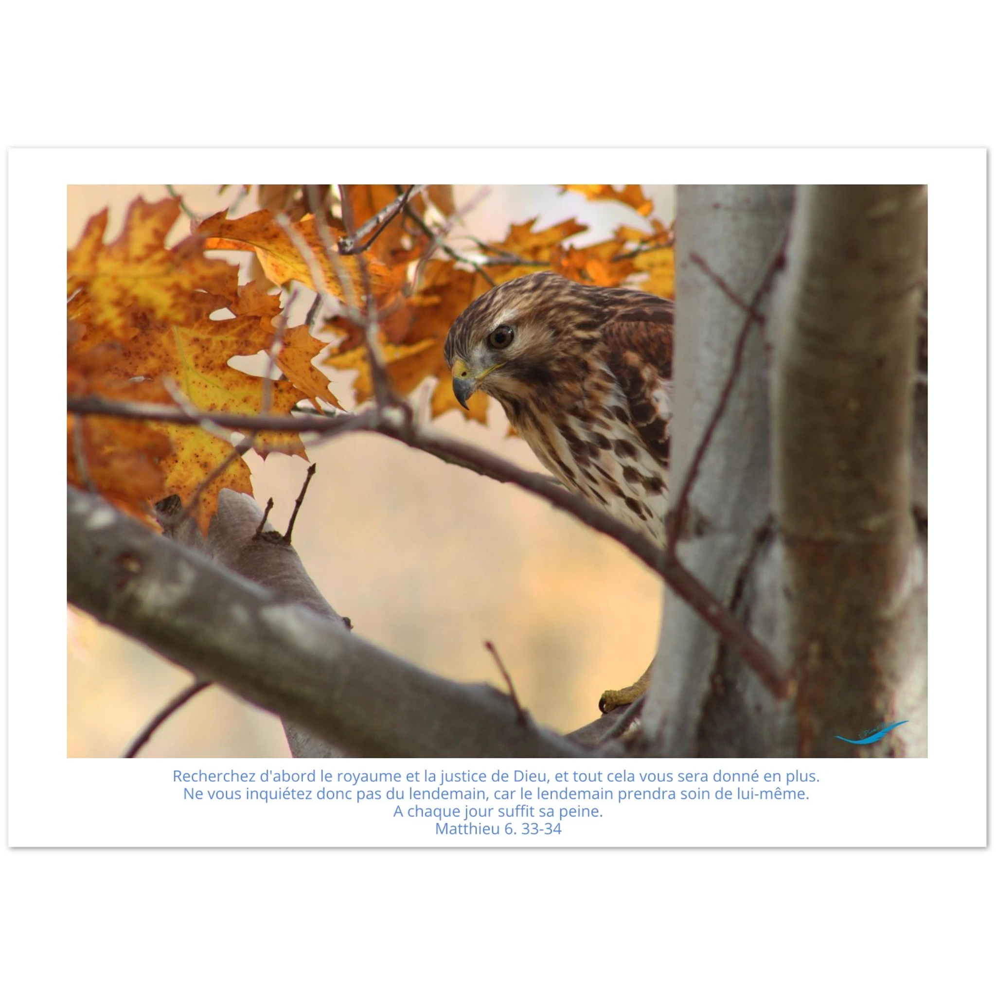 c49df779-97a0-47d1-8142-474c56615d4a