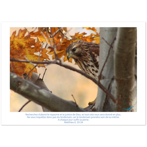 c49df779-97a0-47d1-8142-474c56615d4a