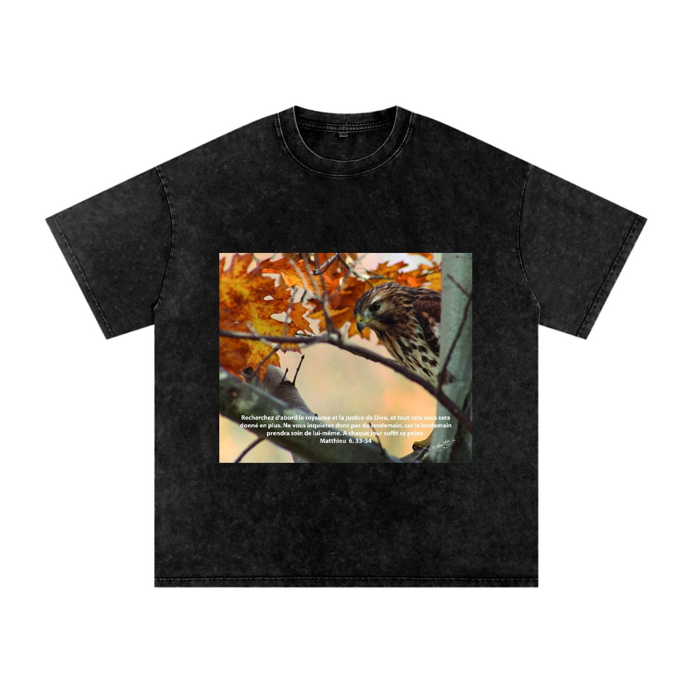 Buse Timide | Matthieu 6. 33-34 | Snow Washed Oversized Cotton T-Shirt