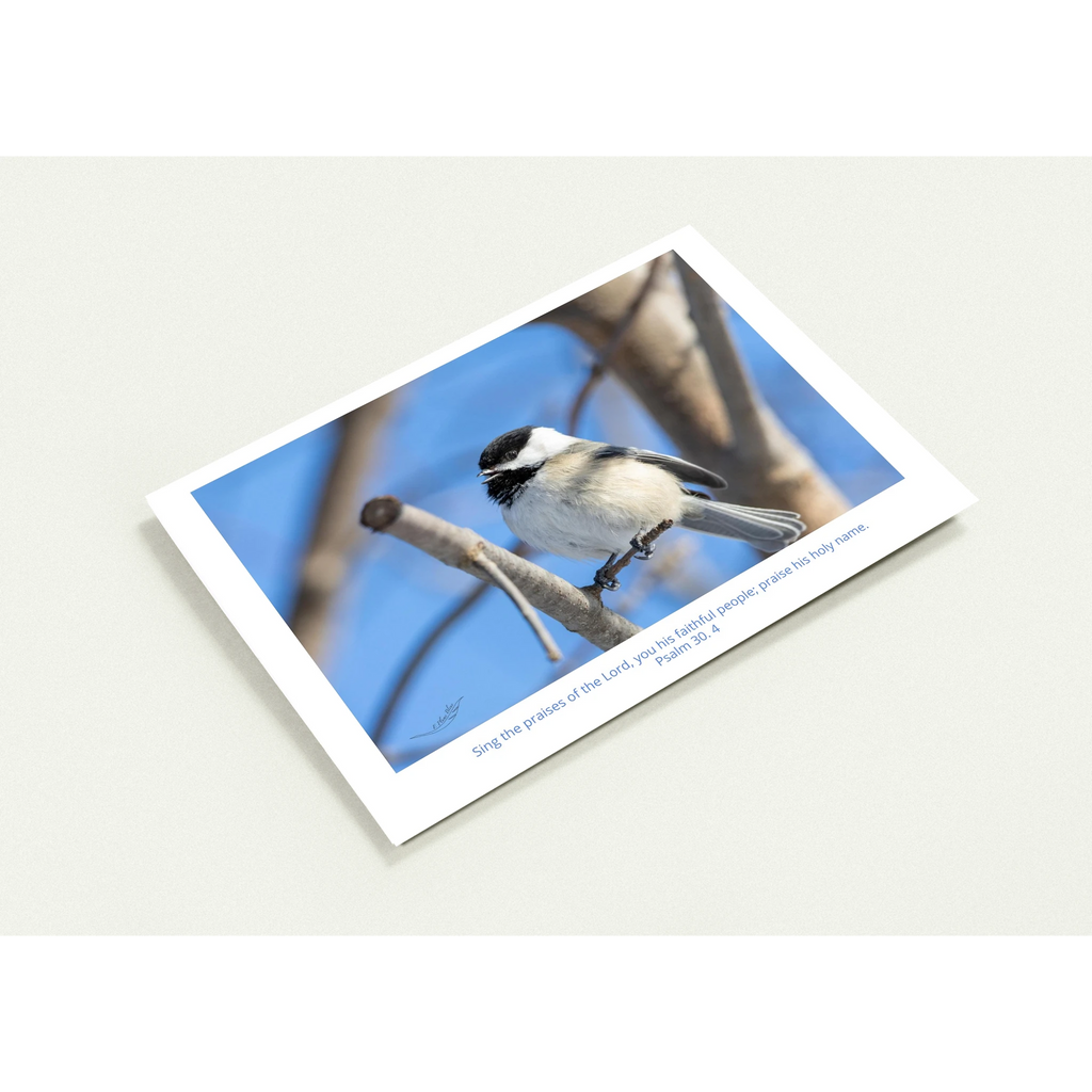 d1dce94f-4cbb-4803-aabb-c13835cd8b86
