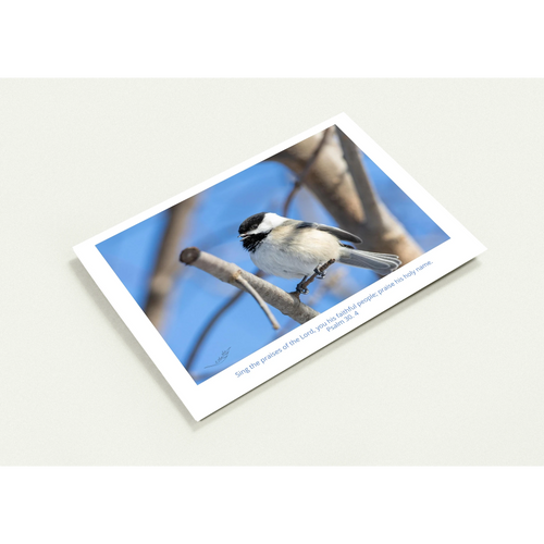 d1dce94f-4cbb-4803-aabb-c13835cd8b86