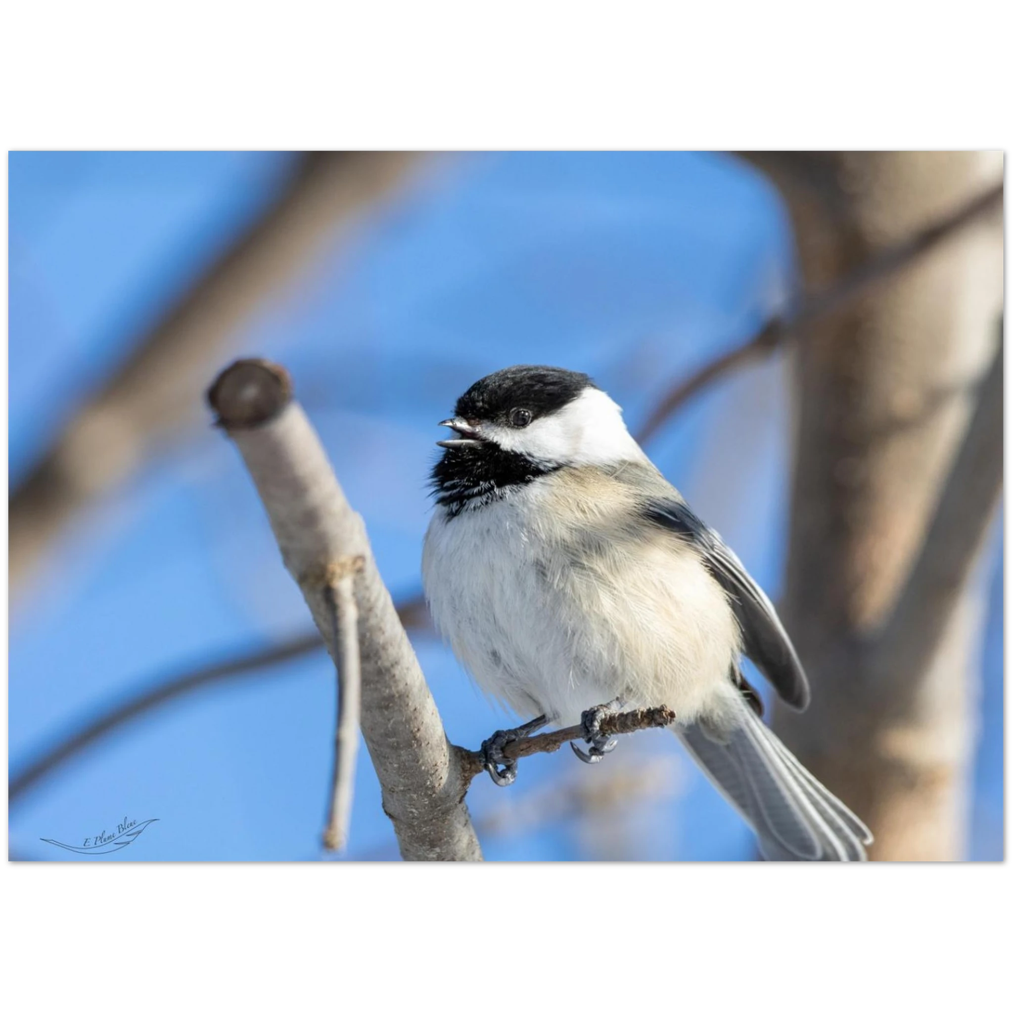 d8ba5581-687f-46eb-a3a5-18e3ec92904e