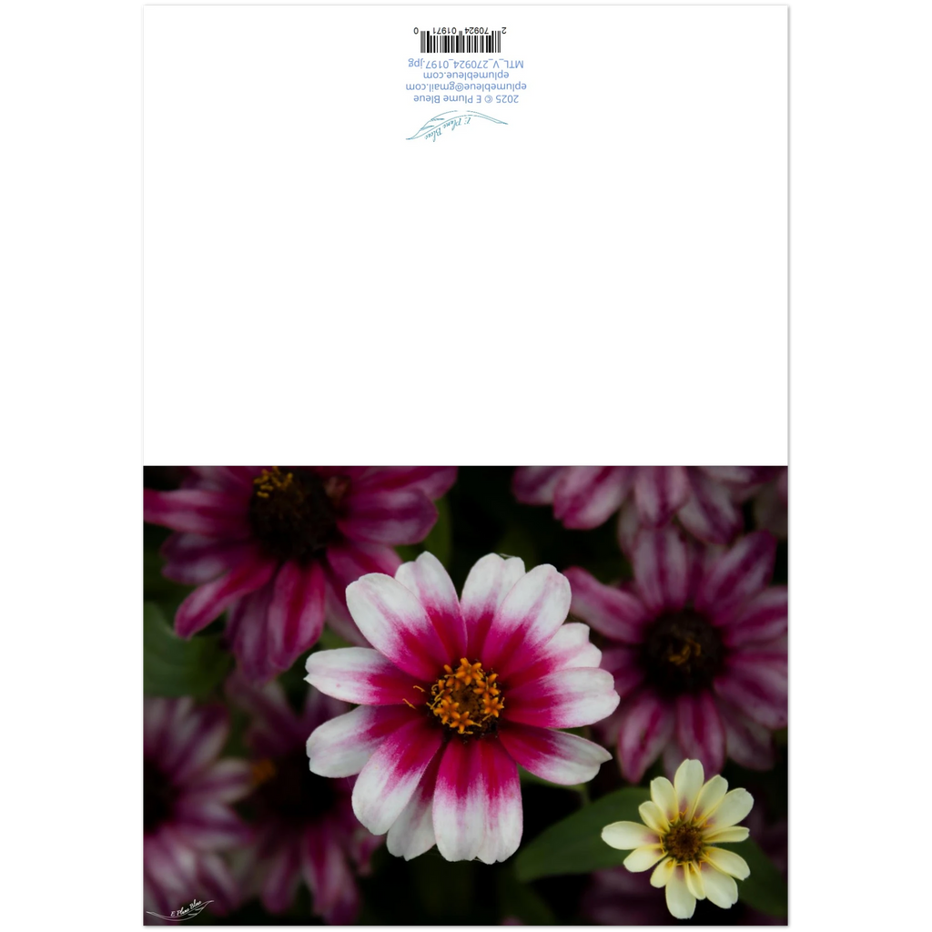 df55e3d4-8e96-40e4-810a-adefa7e967dd