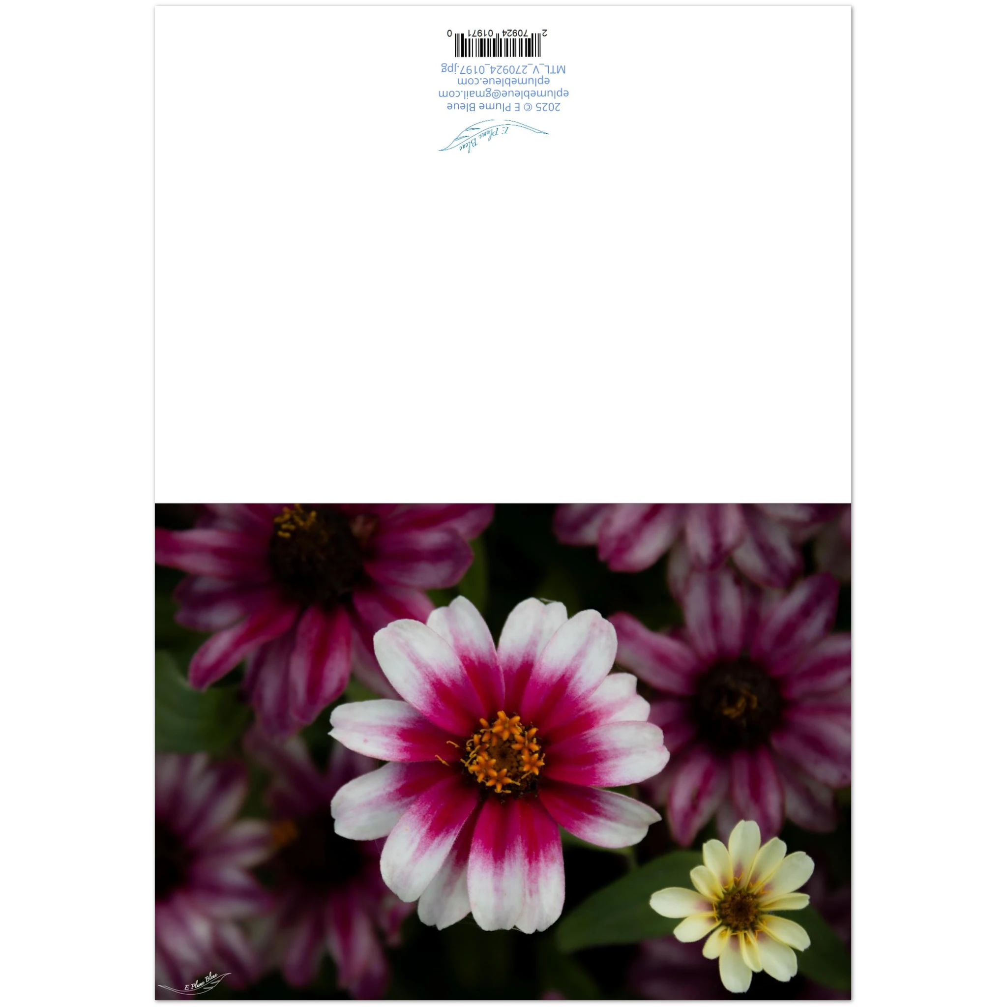 df55e3d4-8e96-40e4-810a-adefa7e967dd