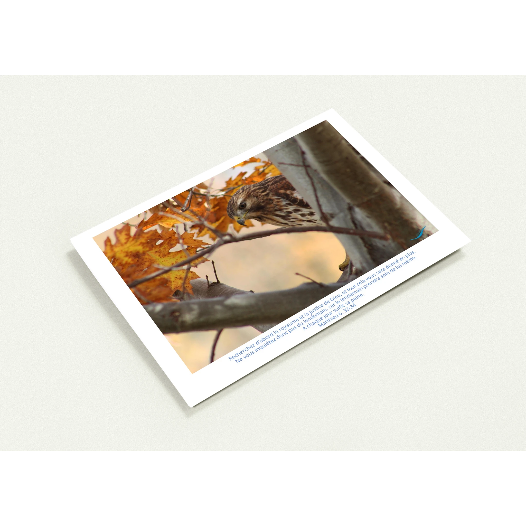 e0df7f9c-f8f4-4c2e-be57-12033531bb28