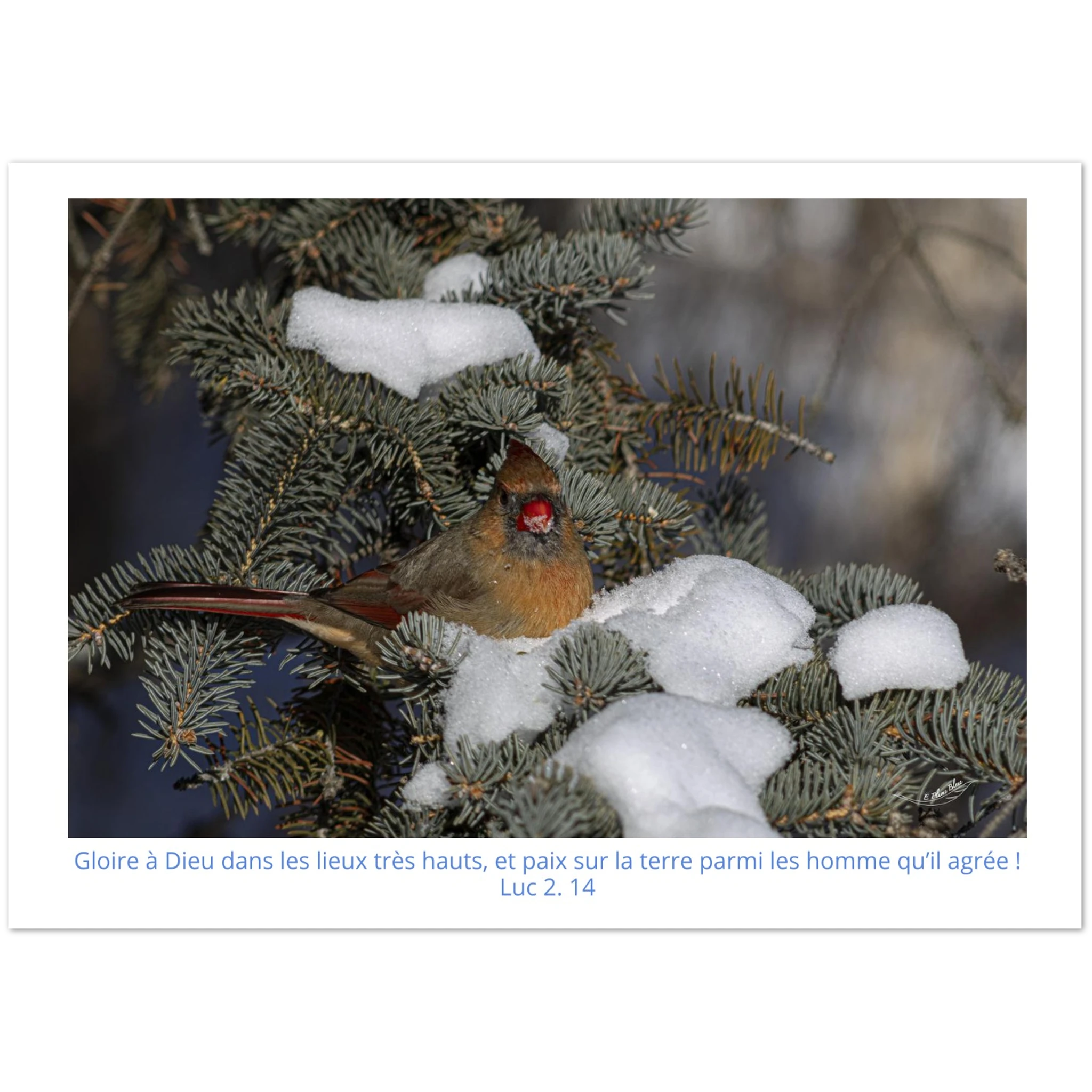 e5cc700b-1527-4127-90c3-4ab9735df0f7