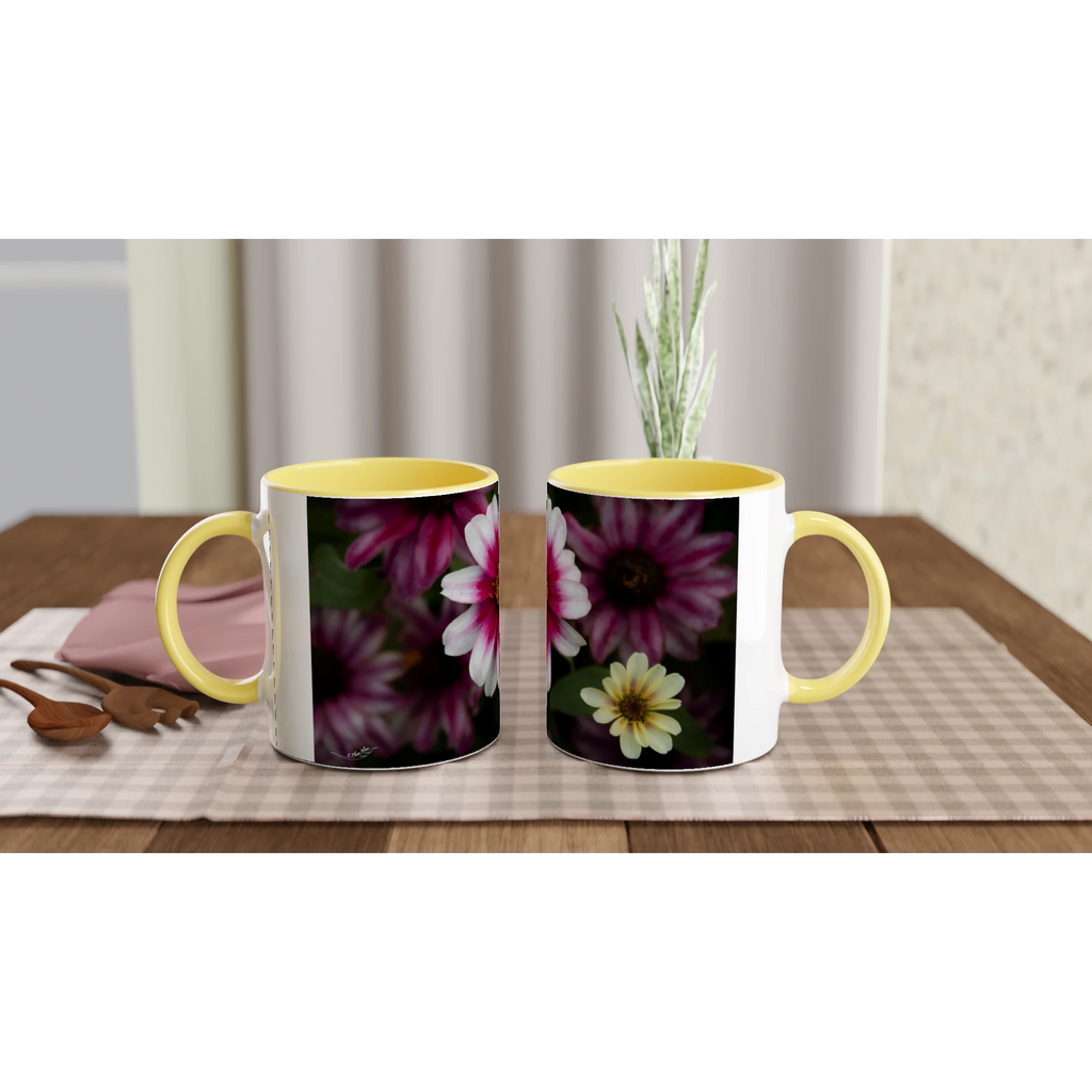 e67555a0-61b8-4044-b4bd-a8150f394cfd