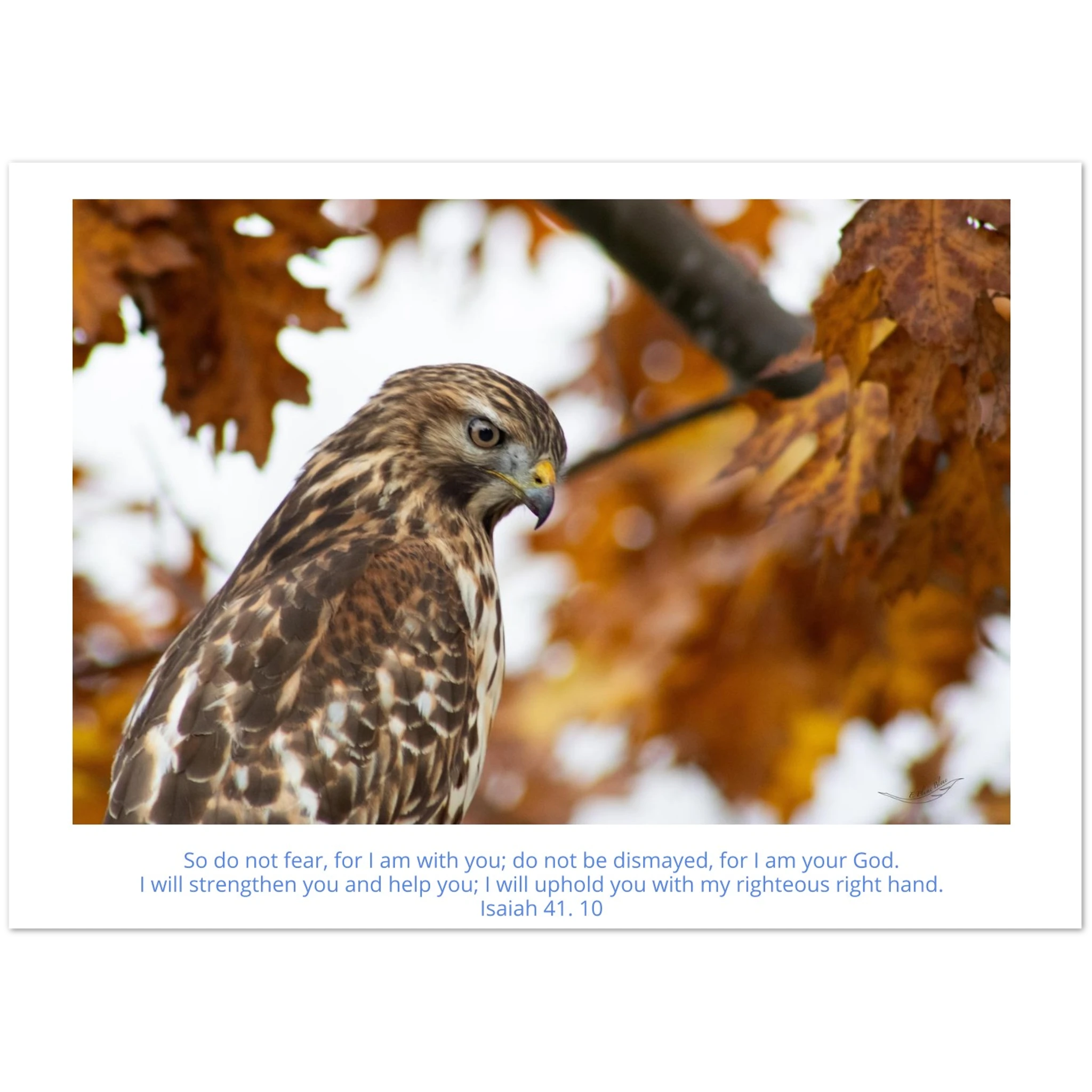 f7116f1c-2c03-423c-a8d9-dba96fc3f0cd