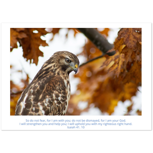 f7116f1c-2c03-423c-a8d9-dba96fc3f0cd